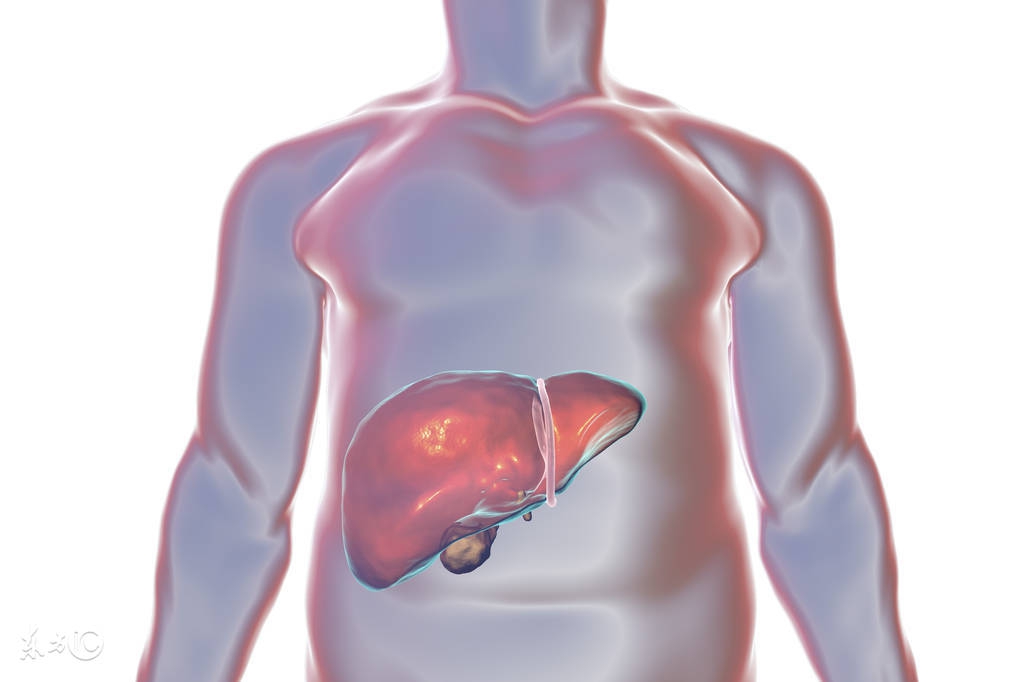 小康说药：胸腺肽肠溶片对治疗乙肝有哪些作用？会有不良反应吗？