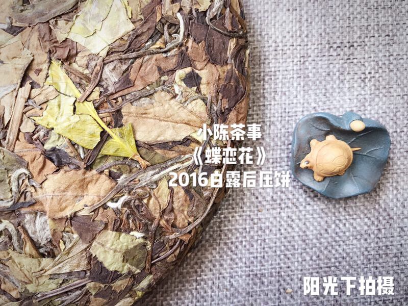 为什么有的老白茶比新茶便宜？不是越老越值钱吗？揭开价格之谜