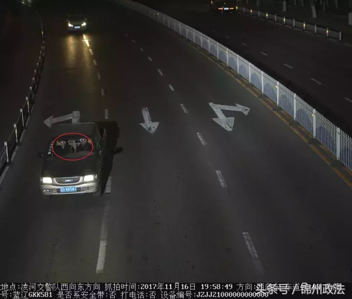 交通违法曝光台