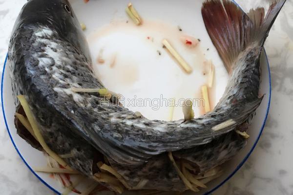 清蒸鯉魚,清蒸鯉魚的做法