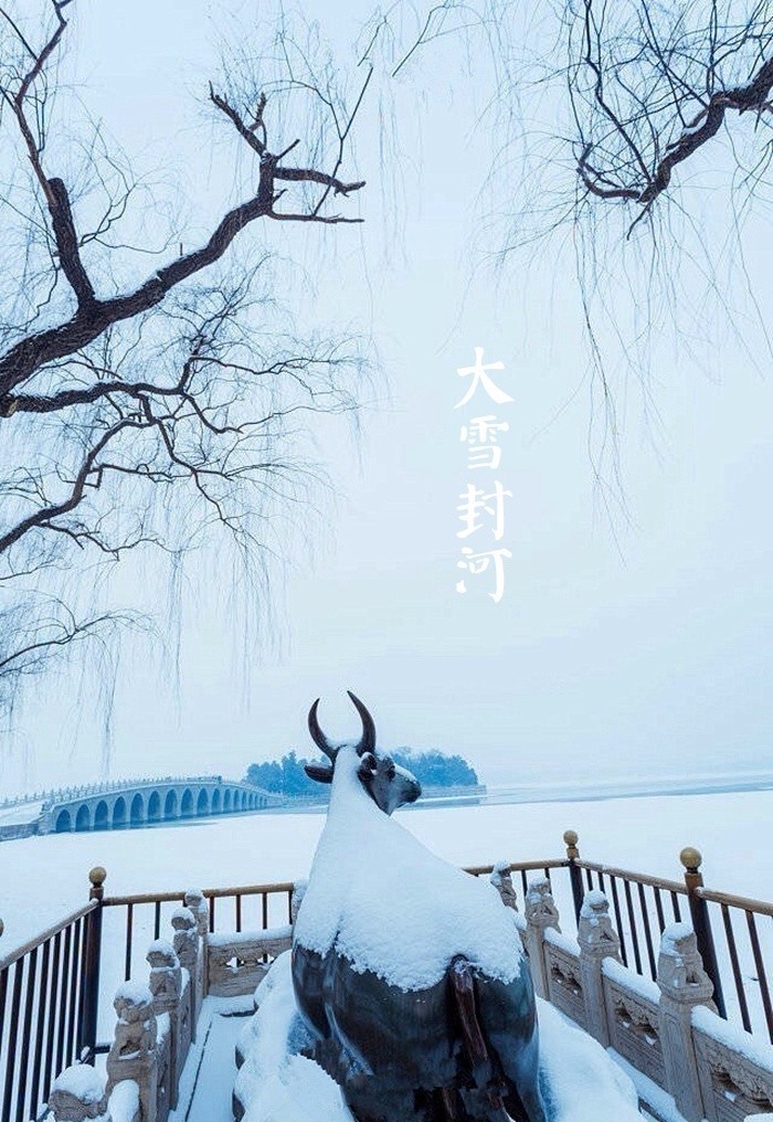 夜读｜大雪：今我来思，雨雪霏霏