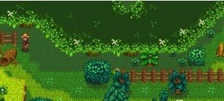 星露谷物语stardew valley神秘森林怎么去 神秘森林雕像作用