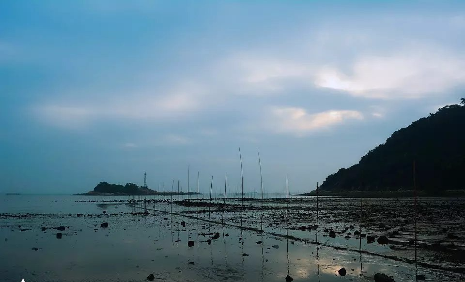 元旦中山珠海周边游，淇澳岛自由行攻略，日出日落，红树林白石街