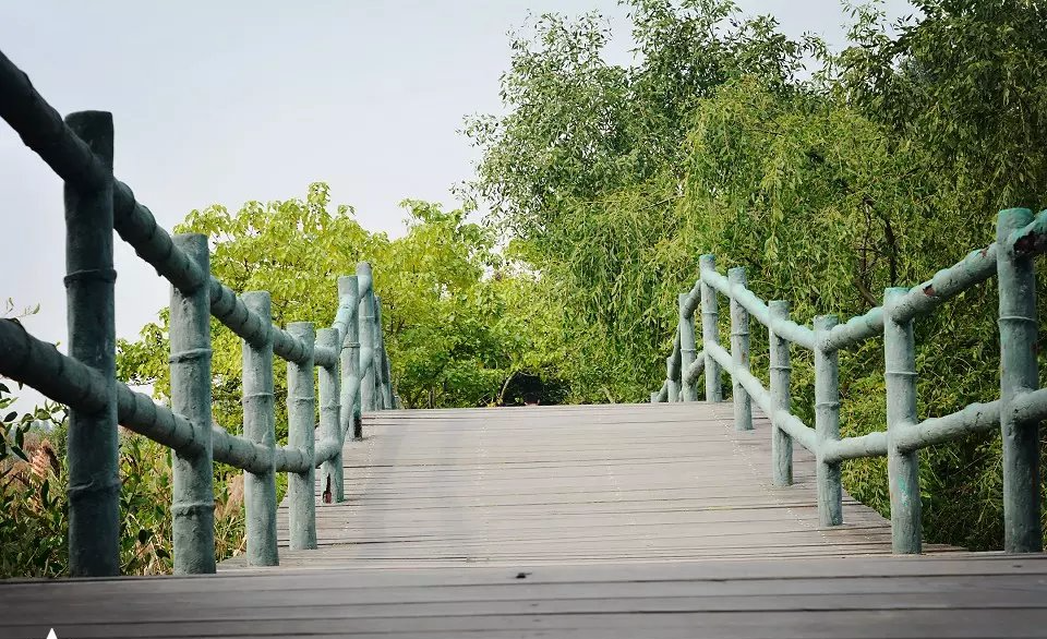 元旦中山珠海周边游，淇澳岛自由行攻略，日出日落，红树林白石街