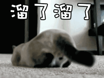 三元达：4G变革中的淘汰者，红岭创投主导下的转型之路步履维艰