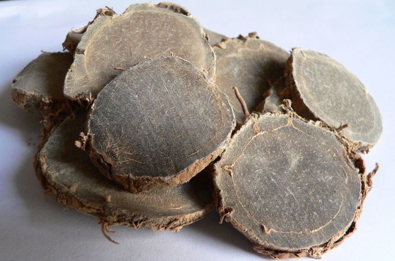 醋莪术的功效与作用(植物) - 行就行