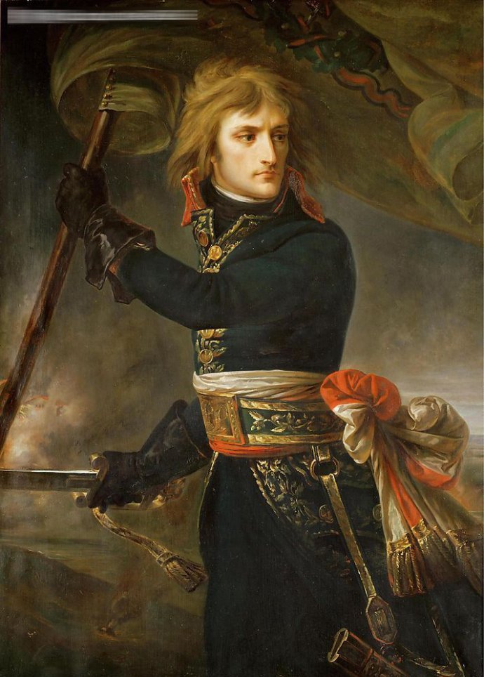 评价拿破仑,评价拿破仑的对外战争
