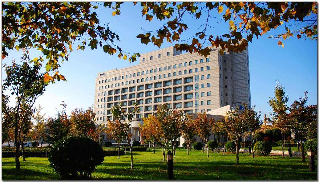 万万没想到｜这些专业 居然是财经类大学的主要专业