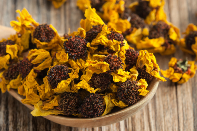 与天山雪莲齐名的昆仑雪菊,调压调脂,清肝明目,这样喝效果最好