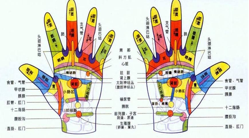 50岁后，出现这种掌纹，说明你存在骨质疏松！该补钙了！