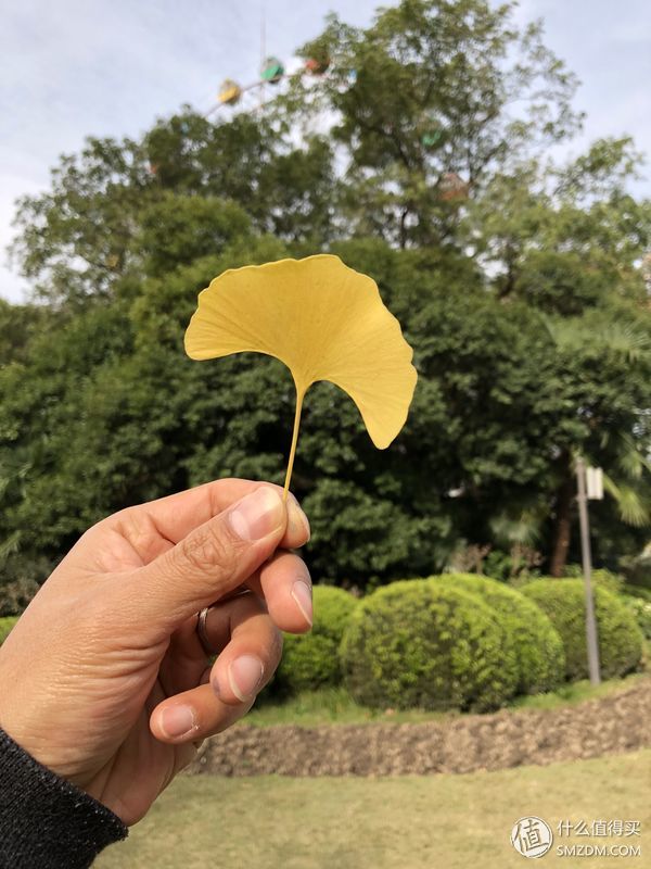 16个问题让你深入了iPhone X（长文慎读）