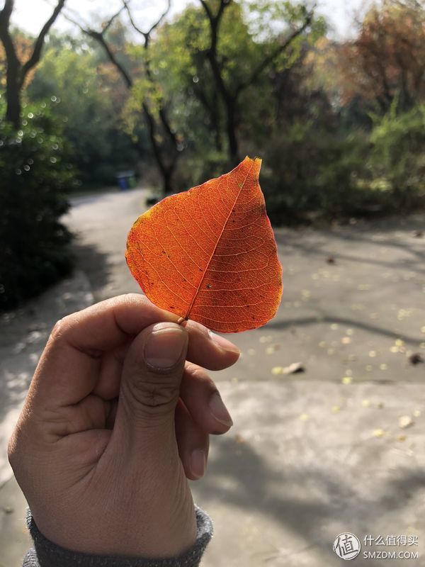 16个问题让你深入了iPhone X（长文慎读）