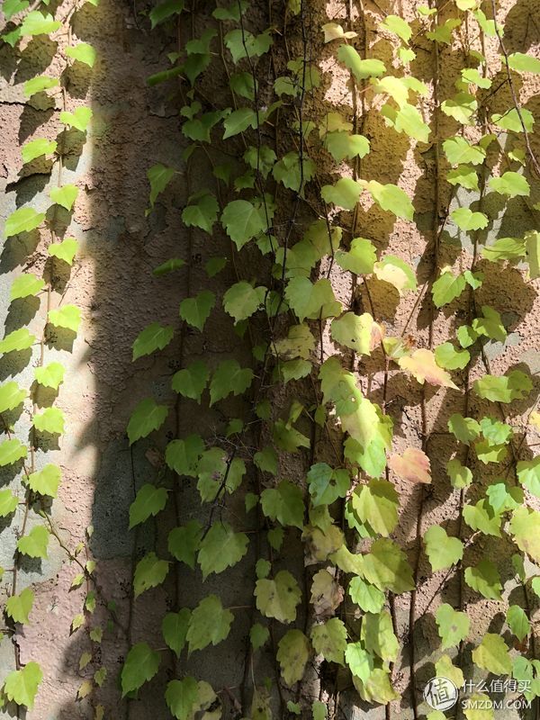 16个问题让你深入了iPhone X（长文慎读）