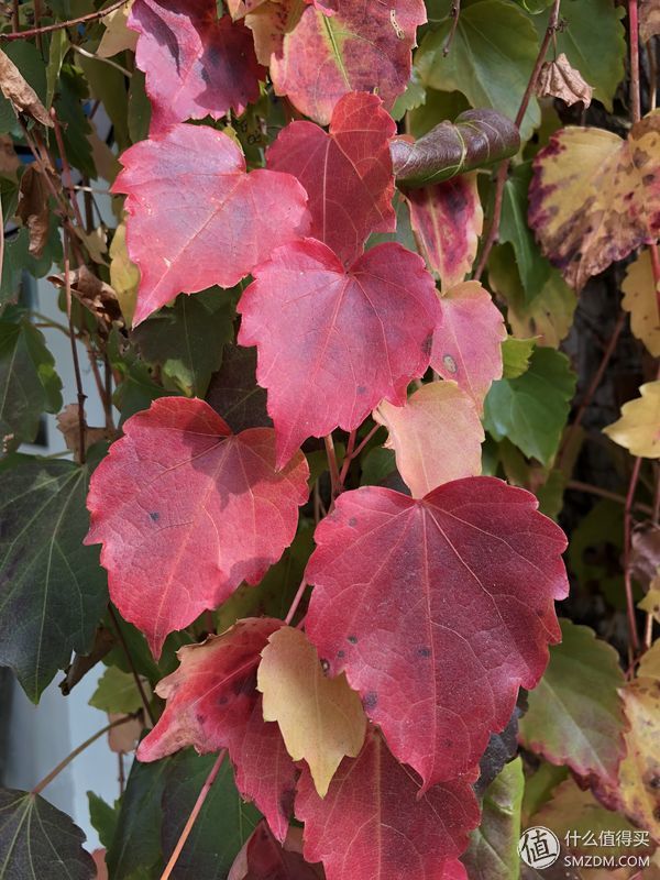 16个问题让你深入了iPhone X（长文慎读）