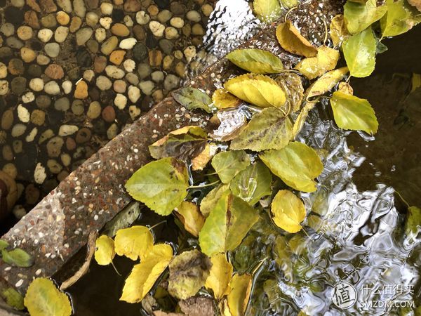 16个问题让你深入了iPhone X（长文慎读）