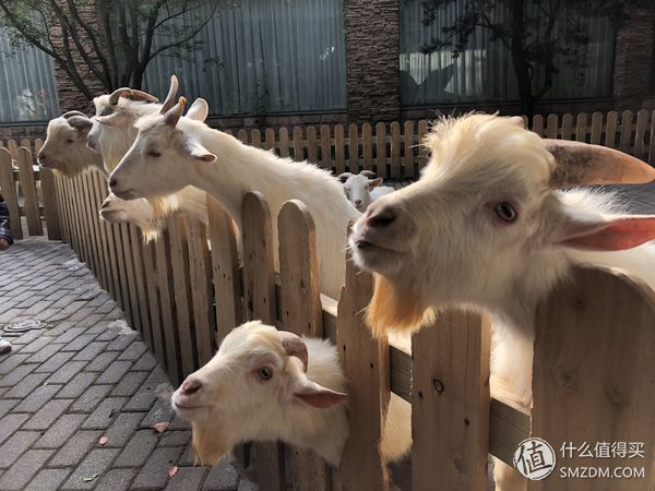 16个问题让你深入了iPhone X（长文慎读）