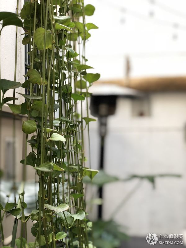 16个问题让你深入了iPhone X（长文慎读）