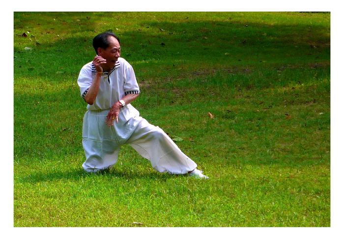 中华武术之《猴拳》弘扬传统文化,传承中国功夫!