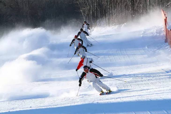 「滑雪一日游」不滑雪这个冬季岂不是白过了！