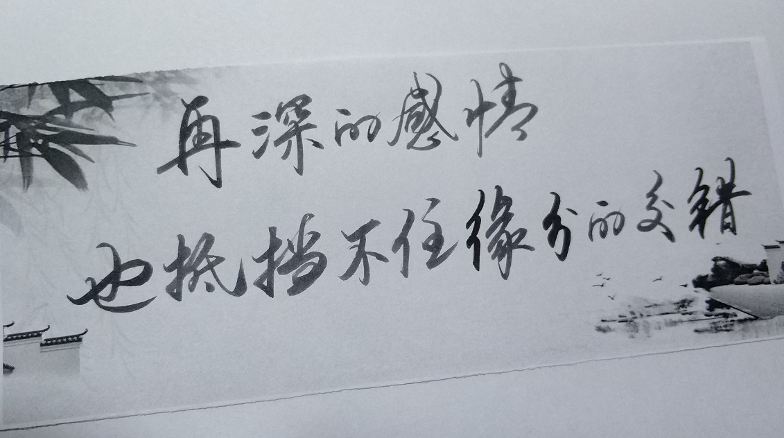 一片一片的雪花 飘飘洒洒 来不及诉说红尘的牵挂 就匆匆融化