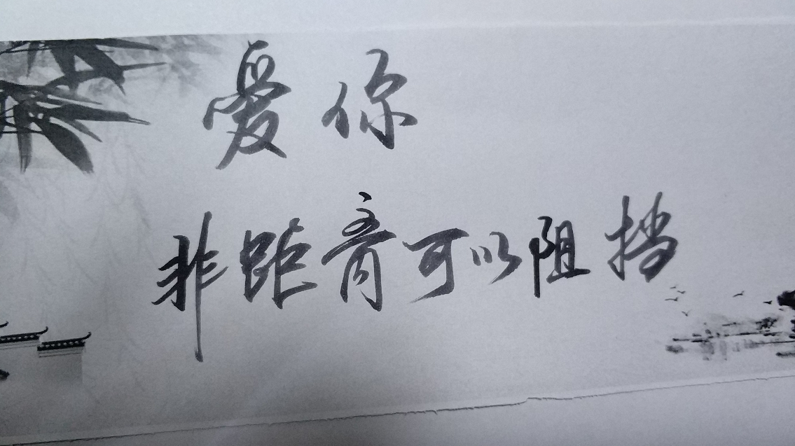 一片一片的雪花 飘飘洒洒 来不及诉说红尘的牵挂 就匆匆融化