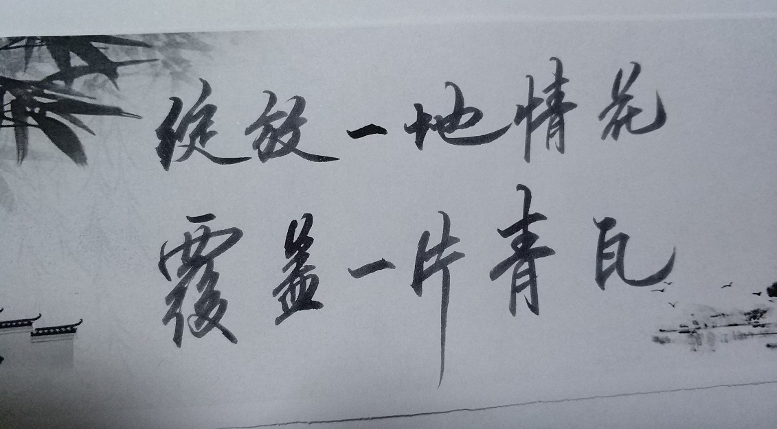一片一片的雪花 飘飘洒洒 来不及诉说红尘的牵挂 就匆匆融化