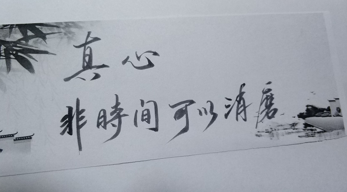 一片一片的雪花 飘飘洒洒 来不及诉说红尘的牵挂 就匆匆融化