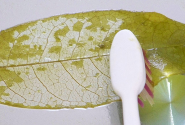 创意手工：陪孩子一起做这些简单又可爱的书签，让他爱上阅读！