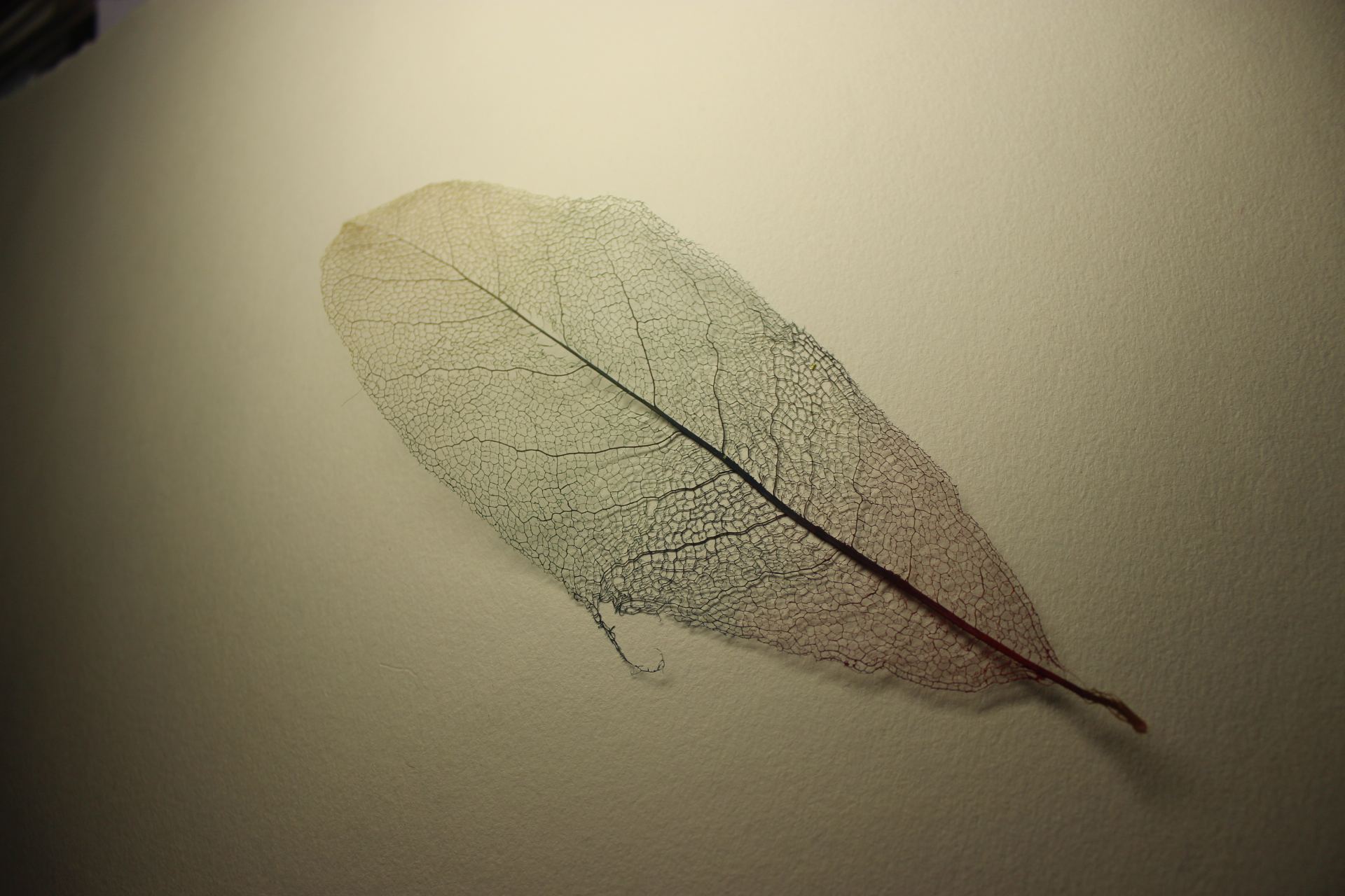 创意手工：陪孩子一起做这些简单又可爱的书签，让他爱上阅读！