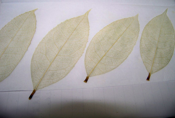 创意手工：陪孩子一起做这些简单又可爱的书签，让他爱上阅读！