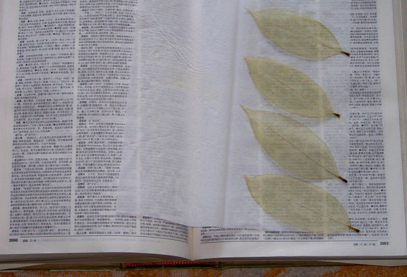 创意手工：陪孩子一起做这些简单又可爱的书签，让他爱上阅读！