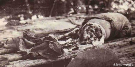 这家事务所专门寻找失踪人口，生可见人死可见尸，无所遁形！