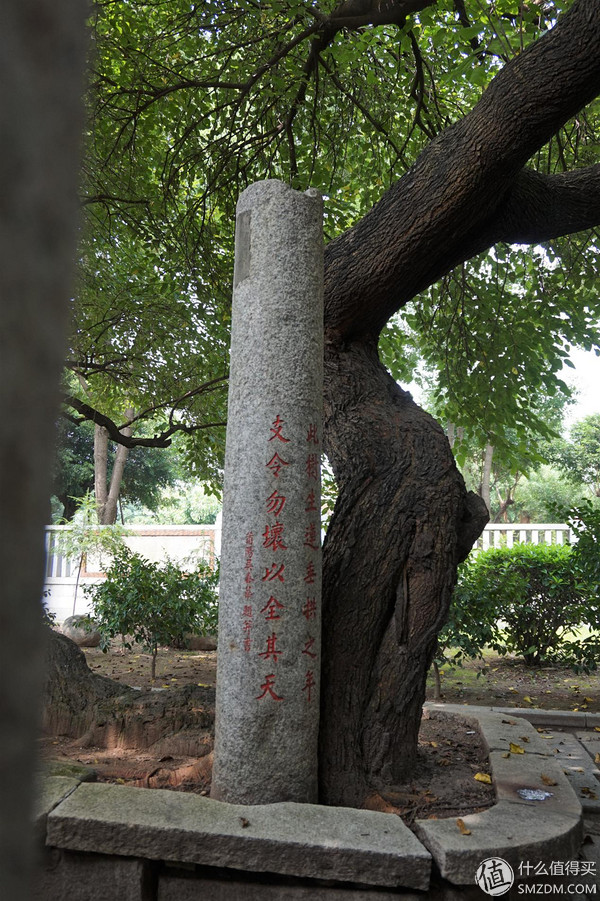 记夏末秋初的泉州之旅 篇一：市内古迹&走街串巷篇