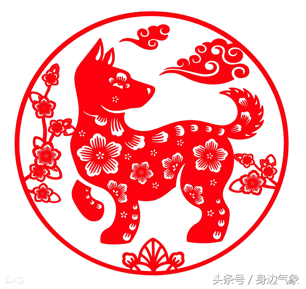 胎梦解析，龙狗共舞雪中现，预示性别之谜探微