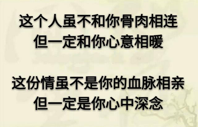 「致朋友」：若，岁月不逝，我们不离；若，时光不老，我们不散