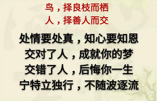 「致朋友」：若，岁月不逝，我们不离；若，时光不老，我们不散