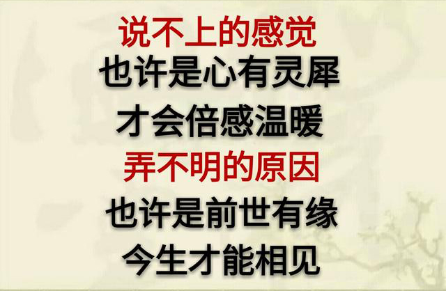 「致朋友」：若，岁月不逝，我们不离；若，时光不老，我们不散