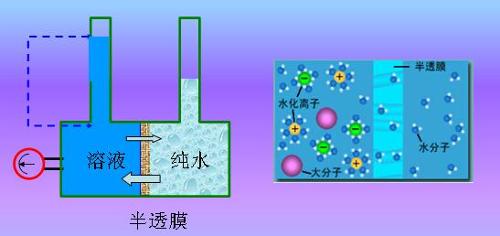 十万个为什么：海水淡化有哪些方法？