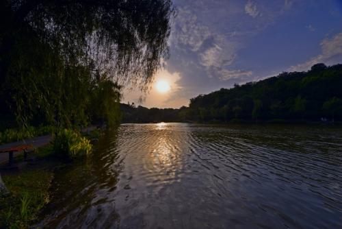 第四轮学科评估中，重庆大学没有A+和A档学科，985中仅三所