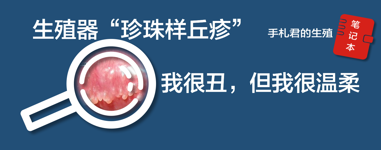 龟头珍珠状丘疹图片(羞羞部位冒出一圈小米粒) - 赤虎壹号