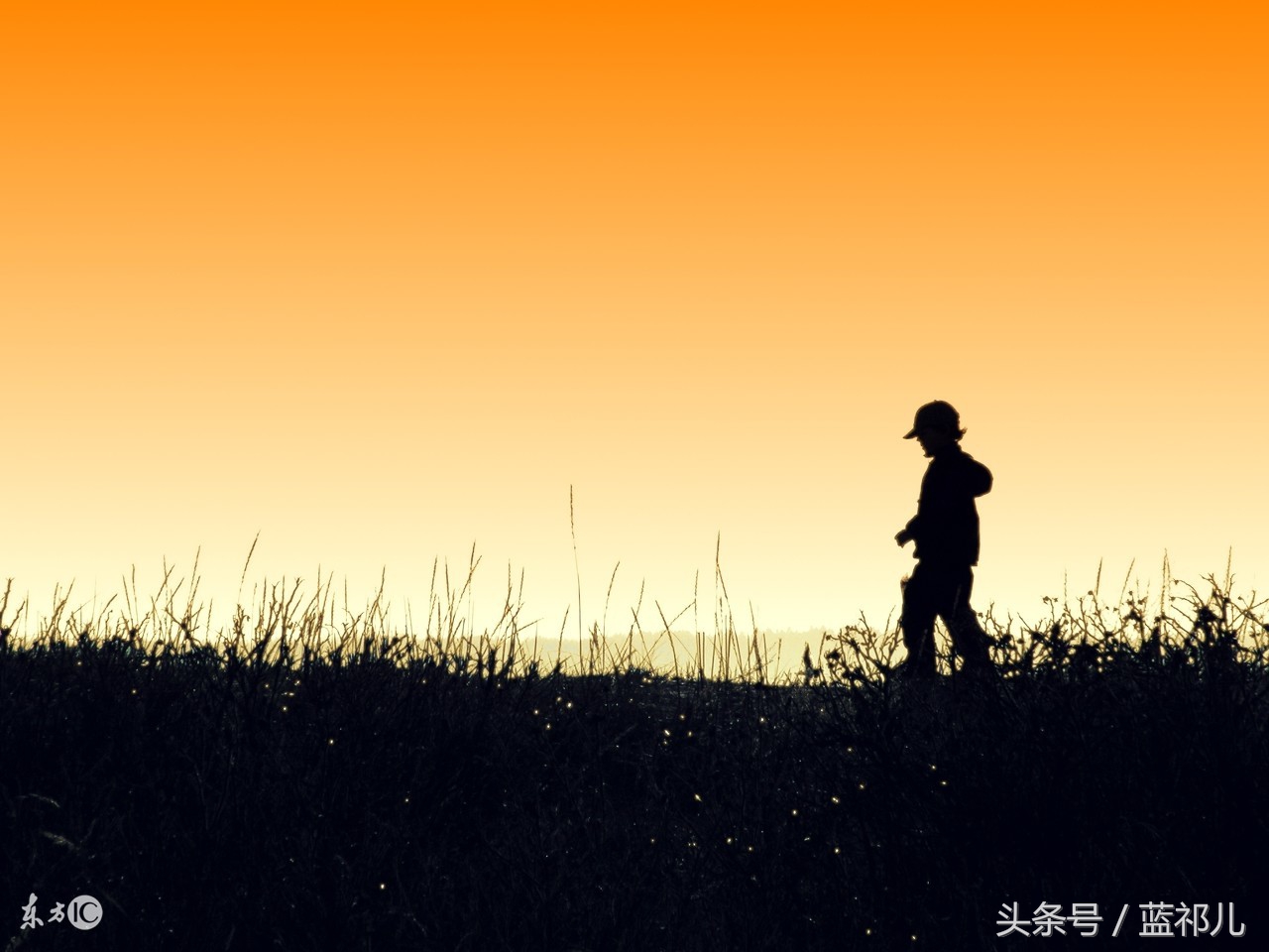 复旦大学陈果教授《好的孤独》一书，妙语连珠，是治心病的良药