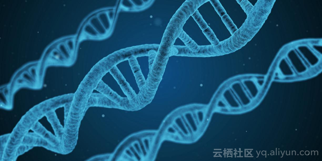 人工智能十大算法：五大类受自然启发的智能计算方法