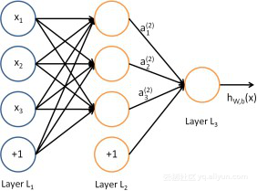 五类受自然启发的AI算法