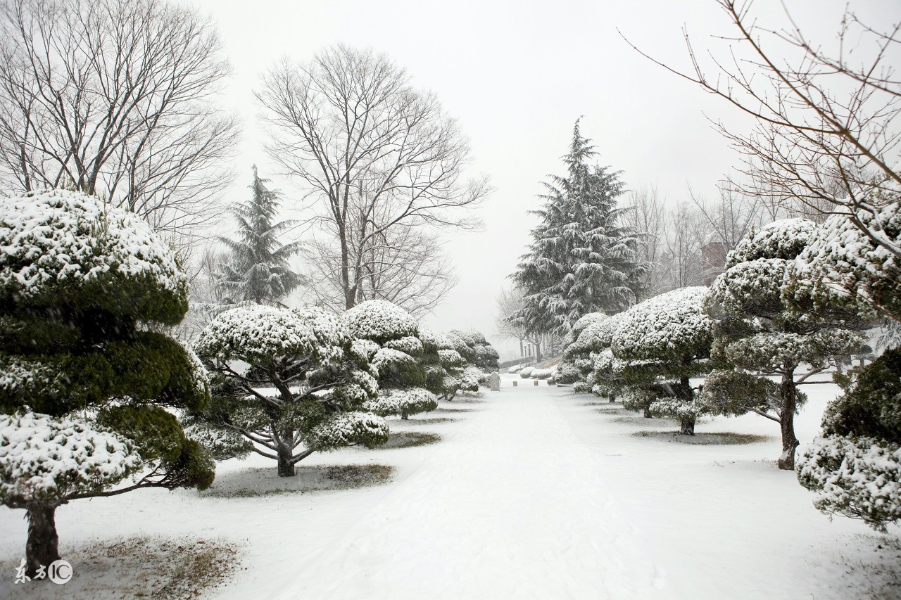 描写雪景的唯美古诗句，美到心碎的诗词佳句