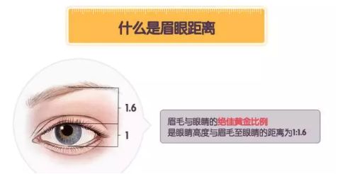 眉毛与眼睛的距离超过3公分以上会让人显得老态，这个问题要重视