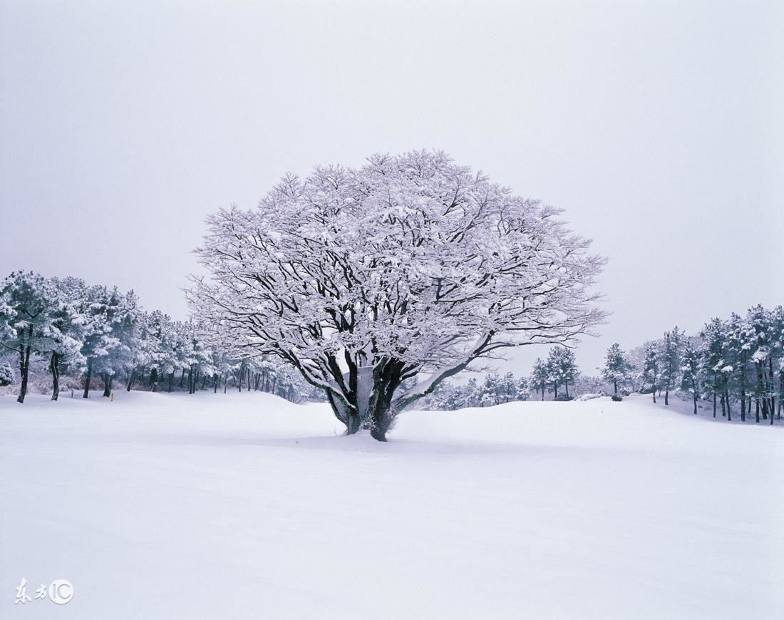 描写雪景的唯美古诗句，美到心碎的诗词佳句
