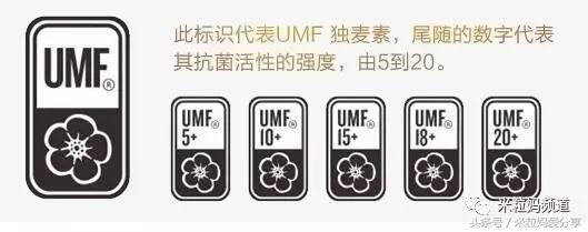 年货购物车大公开，挑年货可是技术活！