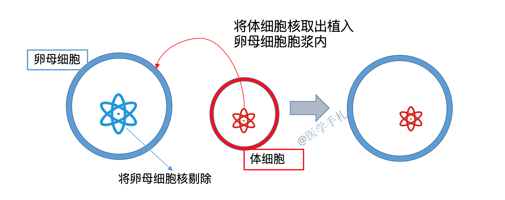 原来,体细胞克隆技术就是指动物体细胞利用核移植的技术(细胞拆合或