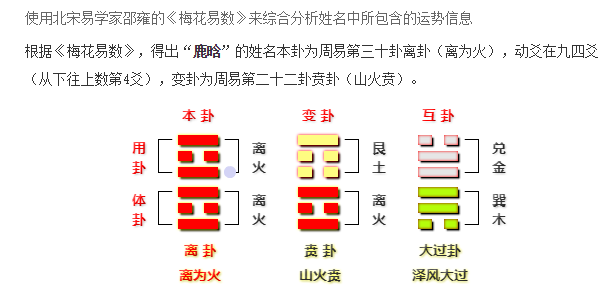 “小鲜肉”鹿晗八字解析，今日头条首发