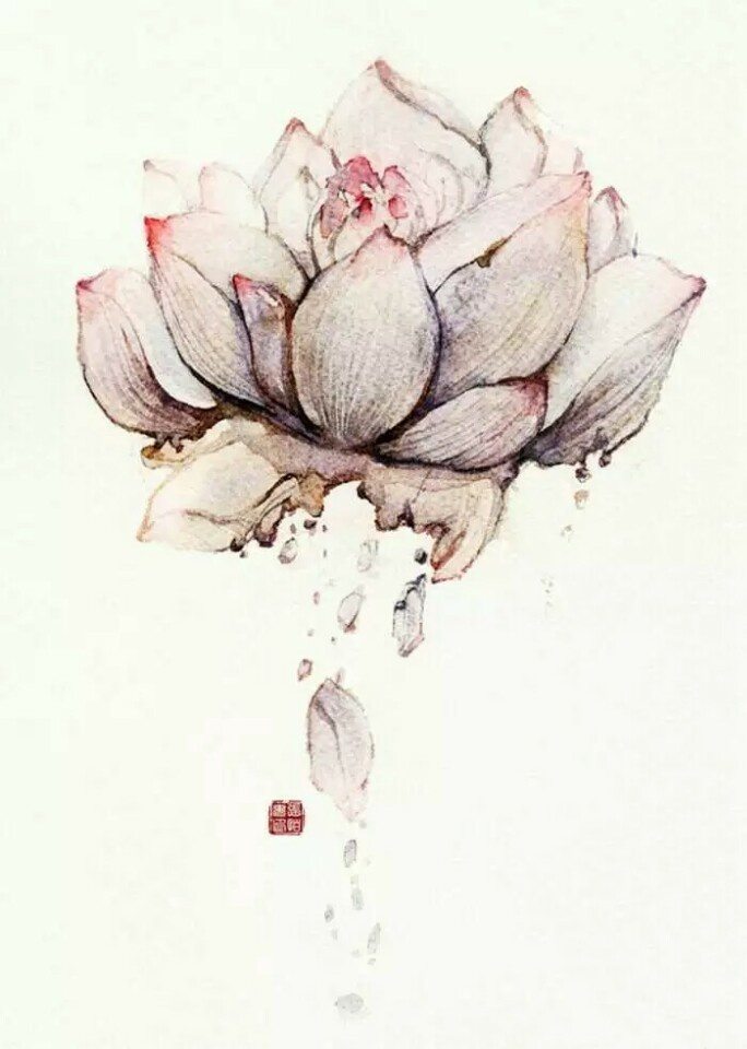 〔诗咖小酌〕现代诗分享之 大鱼海棠的情思